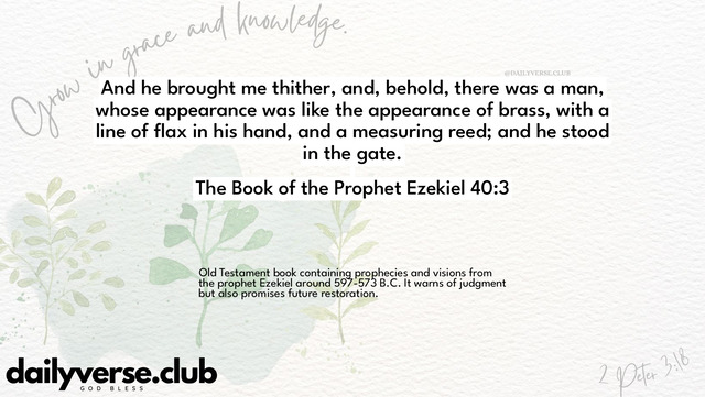 Bible Verse Wallpaper 40:3 from The Book of the Prophet Ezekiel