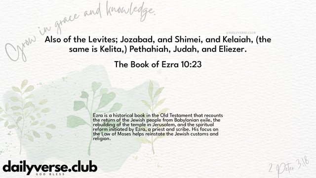 Bible Verse Wallpaper 10:23 from The Book of Ezra