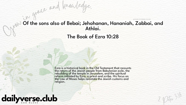 Bible Verse Wallpaper 10:28 from The Book of Ezra