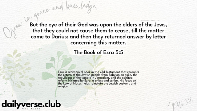 Bible Verse Wallpaper 5:5 from The Book of Ezra