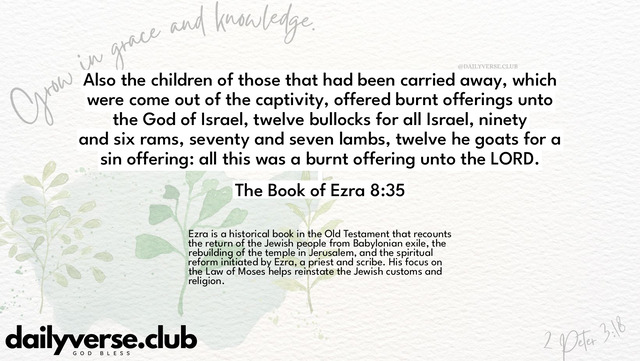 Bible Verse Wallpaper 8:35 from The Book of Ezra