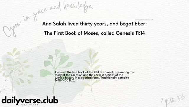 Bible Verse Wallpaper 11:14 from The First Book of Moses, called Genesis