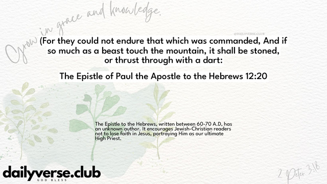 Bible Verse Wallpaper 12:20 from The Epistle of Paul the Apostle to the Hebrews