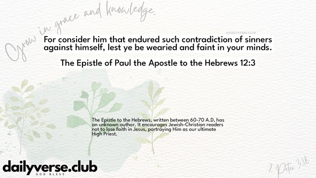 Bible Verse Wallpaper 12:3 from The Epistle of Paul the Apostle to the Hebrews