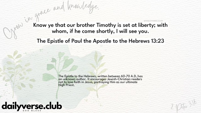 Bible Verse Wallpaper 13:23 from The Epistle of Paul the Apostle to the Hebrews