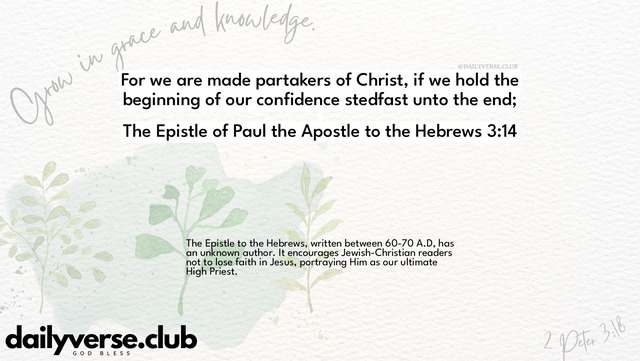 Bible Verse Wallpaper 3:14 from The Epistle of Paul the Apostle to the Hebrews
