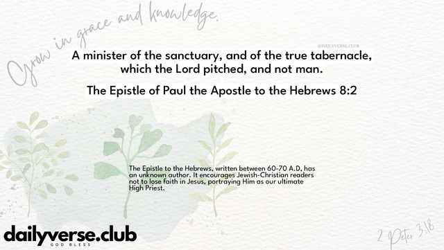 Bible Verse Wallpaper 8:2 from The Epistle of Paul the Apostle to the Hebrews