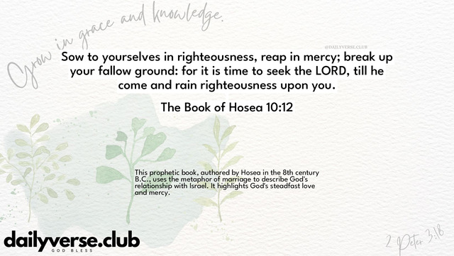Bible Verse Wallpaper 10:12 from The Book of Hosea