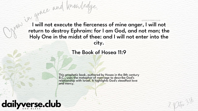 Bible Verse Wallpaper 11:9 from The Book of Hosea