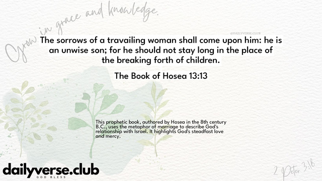 Bible Verse Wallpaper 13:13 from The Book of Hosea