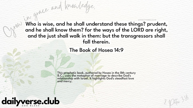 Bible Verse Wallpaper 14:9 from The Book of Hosea