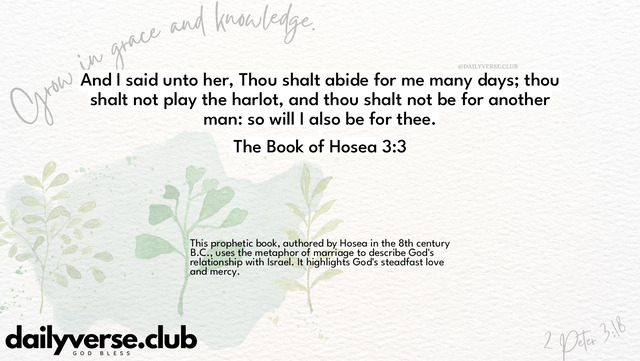 Bible Verse Wallpaper 3:3 from The Book of Hosea