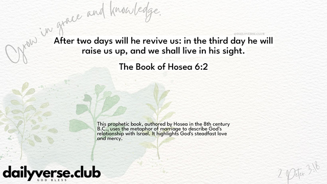 Bible Verse Wallpaper 6:2 from The Book of Hosea