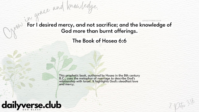 Bible Verse Wallpaper 6:6 from The Book of Hosea