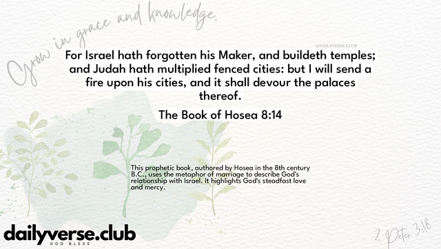 Bible Verse Wallpaper 8:14 from The Book of Hosea