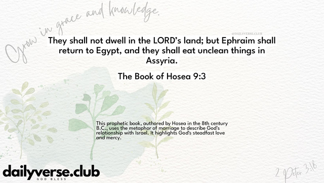 Bible Verse Wallpaper 9:3 from The Book of Hosea