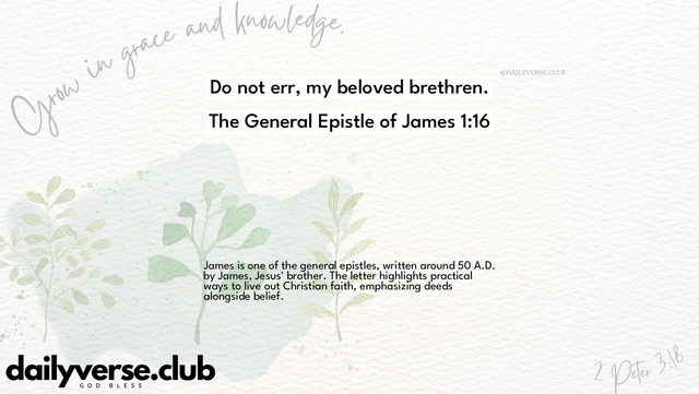 Bible Verse Wallpaper 1:16 from The General Epistle of James
