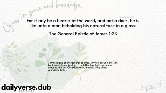 Bible Verse Wallpaper 1:23 from The General Epistle of James