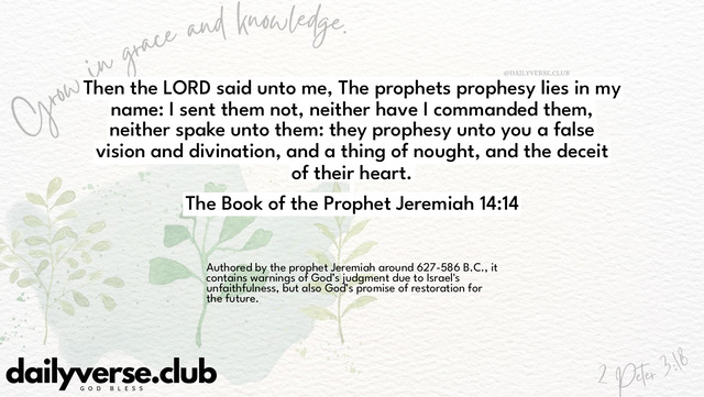 Bible Verse Wallpaper 14:14 from The Book of the Prophet Jeremiah