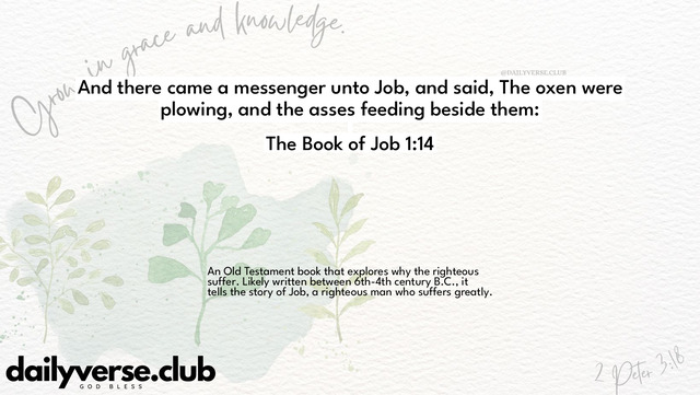 Bible Verse Wallpaper 1:14 from The Book of Job