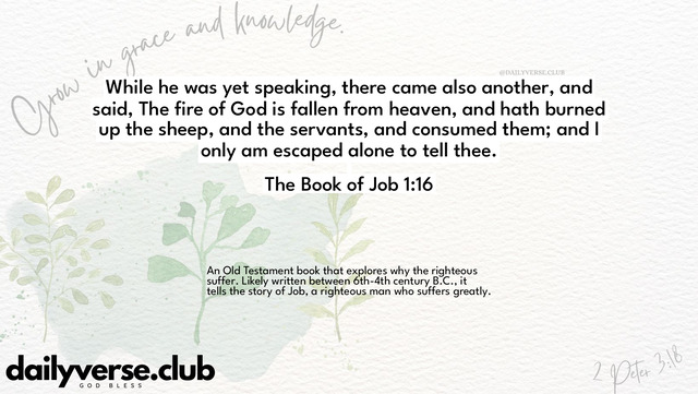 Bible Verse Wallpaper 1:16 from The Book of Job