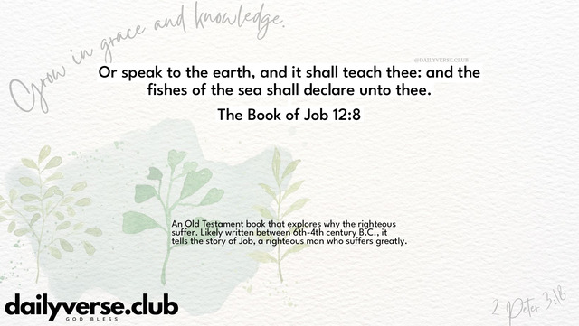Bible Verse Wallpaper 12:8 from The Book of Job