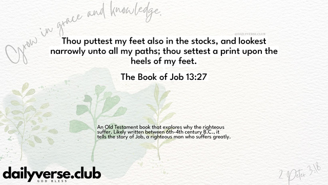 Bible Verse Wallpaper 13:27 from The Book of Job