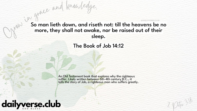 Bible Verse Wallpaper 14:12 from The Book of Job