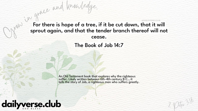Bible Verse Wallpaper 14:7 from The Book of Job
