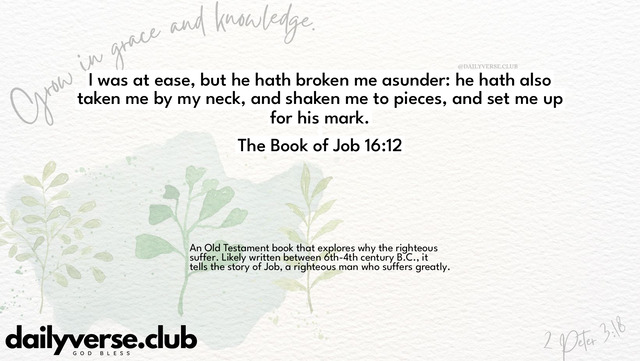 Bible Verse Wallpaper 16:12 from The Book of Job