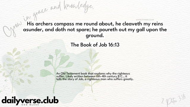 Bible Verse Wallpaper 16:13 from The Book of Job