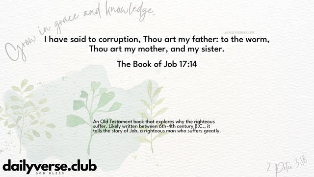 Bible Verse Wallpaper 17:14 from The Book of Job