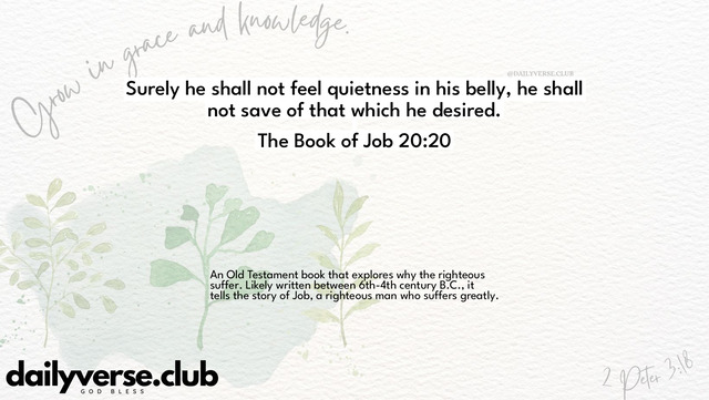 Bible Verse Wallpaper 20:20 from The Book of Job
