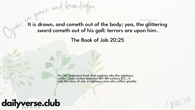 Bible Verse Wallpaper 20:25 from The Book of Job