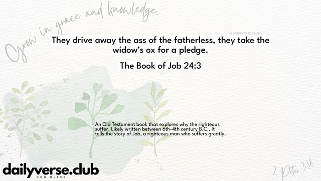 Bible Verse Wallpaper 24:3 from The Book of Job