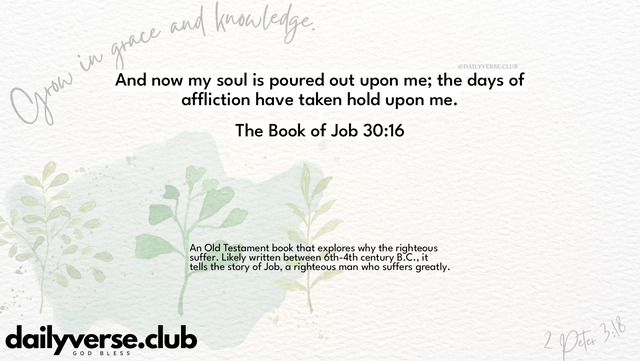 Bible Verse Wallpaper 30:16 from The Book of Job