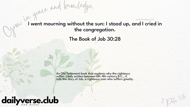 Bible Verse Wallpaper 30:28 from The Book of Job