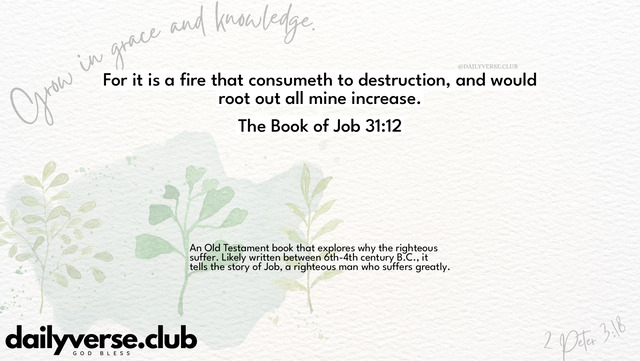 Bible Verse Wallpaper 31:12 from The Book of Job