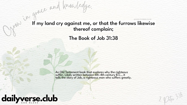 Bible Verse Wallpaper 31:38 from The Book of Job
