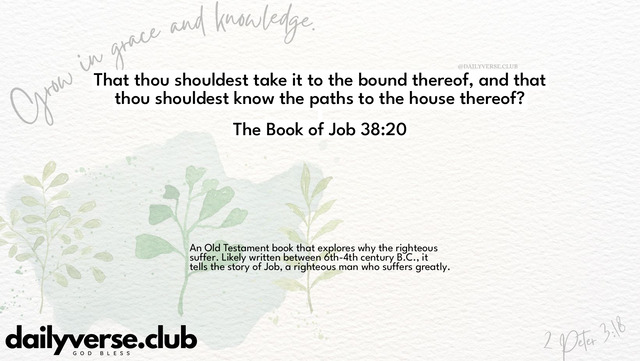 Bible Verse Wallpaper 38:20 from The Book of Job