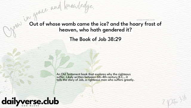 Bible Verse Wallpaper 38:29 from The Book of Job
