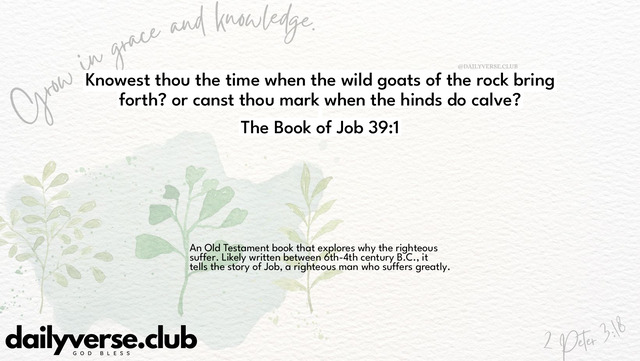 Bible Verse Wallpaper 39:1 from The Book of Job