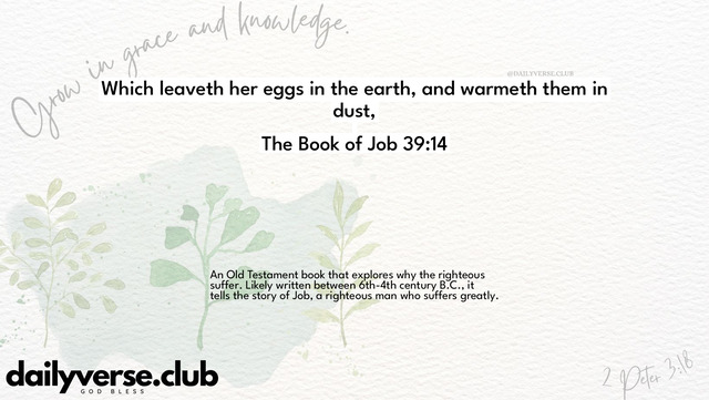 Bible Verse Wallpaper 39:14 from The Book of Job