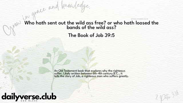 Bible Verse Wallpaper 39:5 from The Book of Job