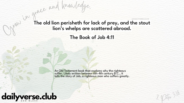 Bible Verse Wallpaper 4:11 from The Book of Job