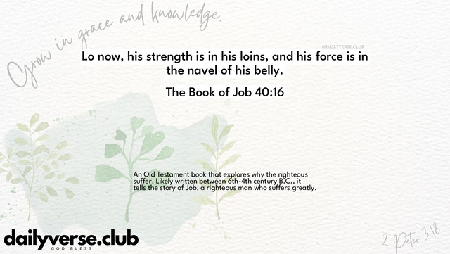 Bible Verse Wallpaper 40:16 from The Book of Job