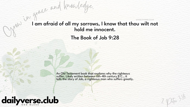 Bible Verse Wallpaper 9:28 from The Book of Job