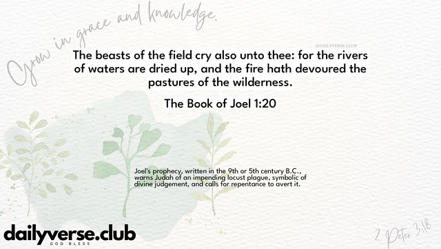 Bible Verse Wallpaper 1:20 from The Book of Joel