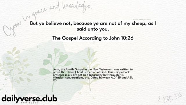 Bible Verse Wallpaper 10:26 from The Gospel According to John