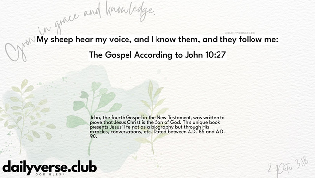 Bible Verse Wallpaper 10:27 from The Gospel According to John
